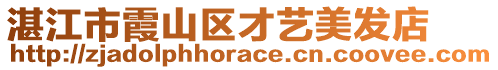 湛江市霞山區(qū)才藝美發(fā)店