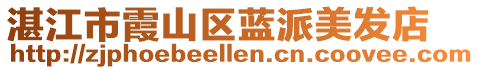 湛江市霞山區(qū)藍(lán)派美發(fā)店