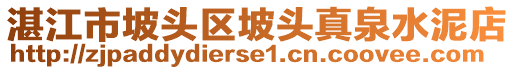 湛江市坡頭區(qū)坡頭真泉水泥店