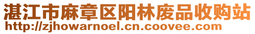 湛江市麻章區(qū)陽林廢品收購站