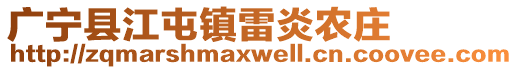 廣寧縣江屯鎮(zhèn)雷炎農(nóng)莊