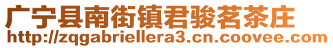 廣寧縣南街鎮(zhèn)君駿茗茶莊