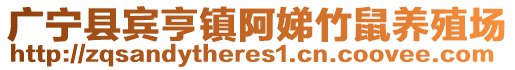 廣寧縣賓亨鎮(zhèn)阿娣竹鼠養(yǎng)殖場