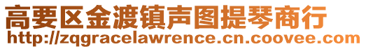 高要區(qū)金渡鎮(zhèn)聲圖提琴商行