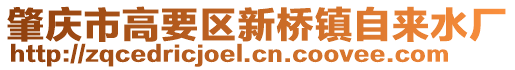 肇慶市高要區新橋鎮自來水廠