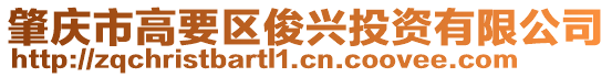 肇慶市高要區(qū)俊興投資有限公司