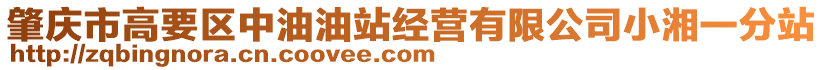 肇庆市高要区中油油站经营有限公司小湘一分站