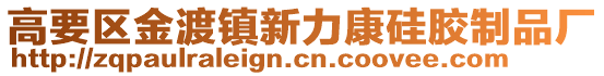 高要區金渡鎮新力康硅膠制品廠