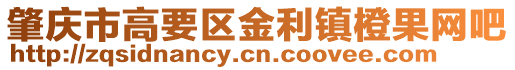 肇慶市高要區(qū)金利鎮(zhèn)橙果網(wǎng)吧