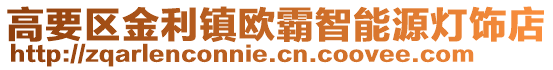高要區金利鎮歐霸智能源燈飾店
