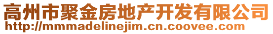 高州市聚金房地產開發有限公司