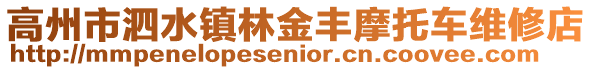 高州市泗水鎮林金豐摩托車維修店