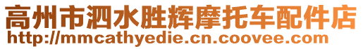高州市泗水勝輝摩托車配件店