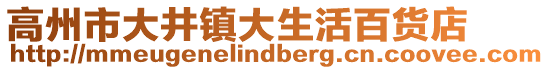 高州市大井镇大生活百货店