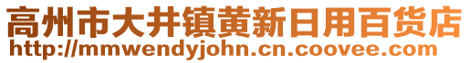 高州市大井鎮(zhèn)黃新日用百貨店