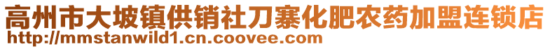 高州市大坡鎮(zhèn)供銷社刀寨化肥農(nóng)藥加盟連鎖店