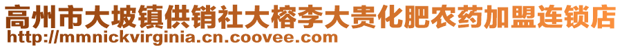 高州市大坡鎮(zhèn)供銷社大榕李大貴化肥農(nóng)藥加盟連鎖店