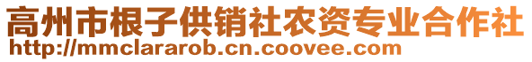 高州市根子供銷社農(nóng)資專業(yè)合作社