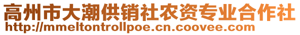 高州市大潮供銷社農(nóng)資專業(yè)合作社