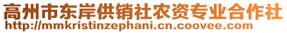 高州市東岸供銷社農(nóng)資專業(yè)合作社