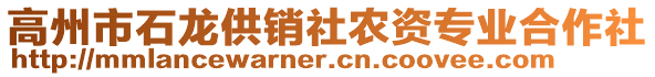 高州市石龍供銷社農(nóng)資專業(yè)合作社