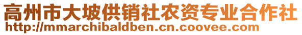 高州市大坡供銷社農(nóng)資專業(yè)合作社