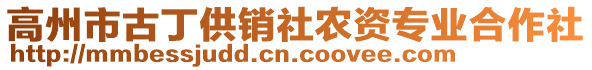 高州市古丁供銷社農資專業(yè)合作社