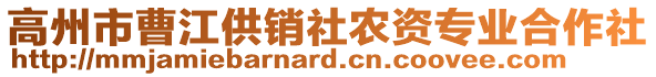 高州市曹江供銷社農(nóng)資專業(yè)合作社