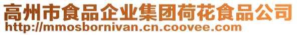 高州市食品企業(yè)集團(tuán)荷花食品公司