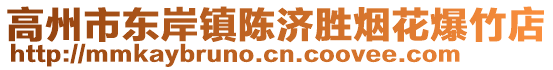 高州市東岸鎮(zhèn)陳濟(jì)勝煙花爆竹店