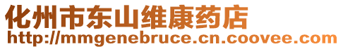 化州市東山維康藥店