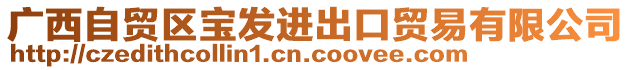 廣西自貿區(qū)寶發(fā)進出口貿易有限公司