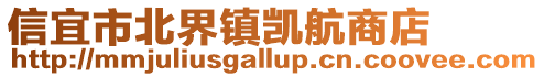 信宜市北界鎮凱航商店