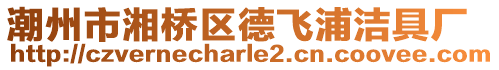 潮州市湘橋區(qū)德飛浦潔具廠