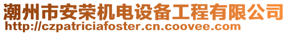 潮州市安榮機(jī)電設(shè)備工程有限公司