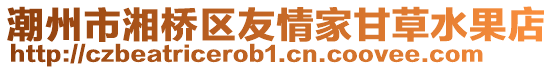 潮州市湘橋區友情家甘草水果店
