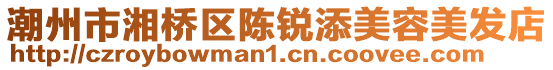 潮州市湘橋區(qū)陳銳添美容美發(fā)店