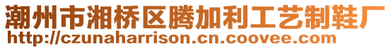 潮州市湘橋區(qū)騰加利工藝制鞋廠