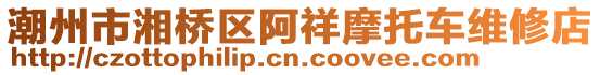 潮州市湘橋區(qū)阿祥摩托車(chē)維修店