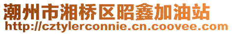 潮州市湘橋區昭鑫加油站
