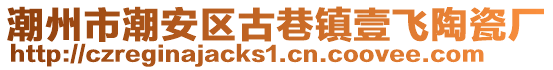 潮州市潮安區(qū)古巷鎮(zhèn)壹飛陶瓷廠