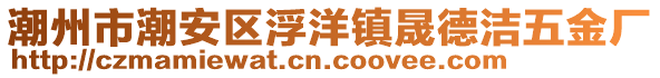 潮州市潮安區(qū)浮洋鎮(zhèn)晟德潔五金廠