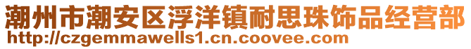 潮州市潮安區浮洋鎮耐思珠飾品經營部