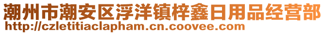 潮州市潮安區(qū)浮洋鎮(zhèn)梓鑫日用品經(jīng)營部