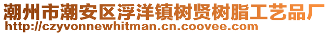 潮州市潮安區(qū)浮洋鎮(zhèn)樹賢樹脂工藝品廠