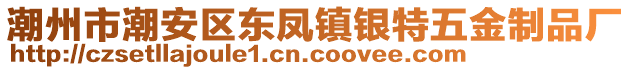 潮州市潮安區(qū)東鳳鎮(zhèn)銀特五金制品廠