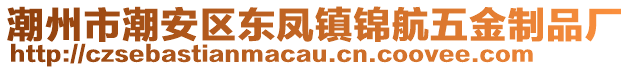 潮州市潮安區(qū)東鳳鎮(zhèn)錦航五金制品廠