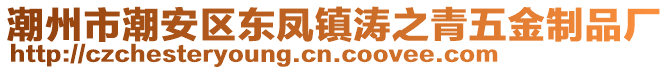 潮州市潮安區(qū)東鳳鎮(zhèn)濤之青五金制品廠