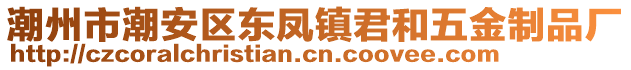 潮州市潮安區(qū)東鳳鎮(zhèn)君和五金制品廠