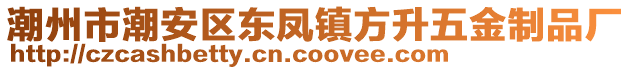 潮州市潮安區(qū)東鳳鎮(zhèn)方升五金制品廠